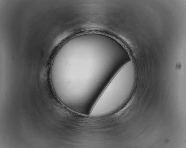 X0000101701309200807101336