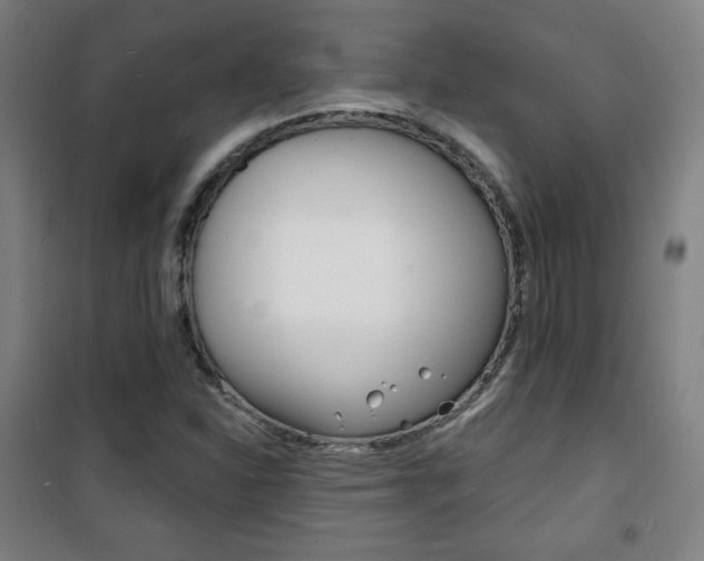 X0000101701310200807101336