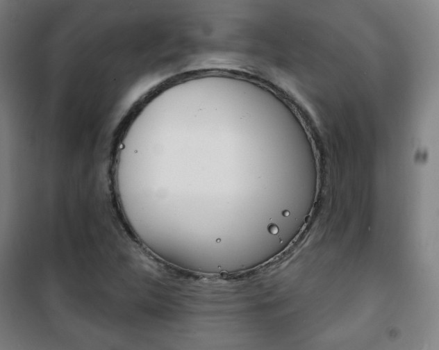 X0000101701312200807101336