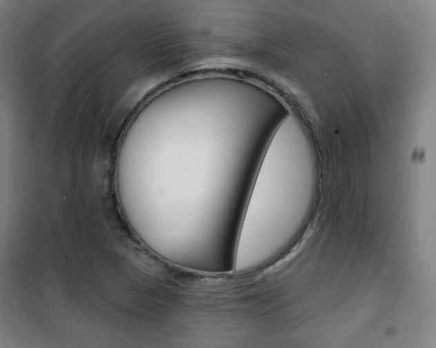 X0000101701313200807101336