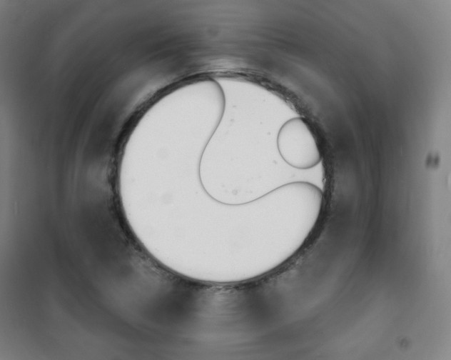 X0000101701314200807101336