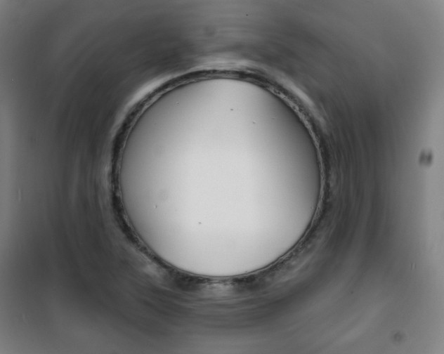 X0000101701315200807101336
