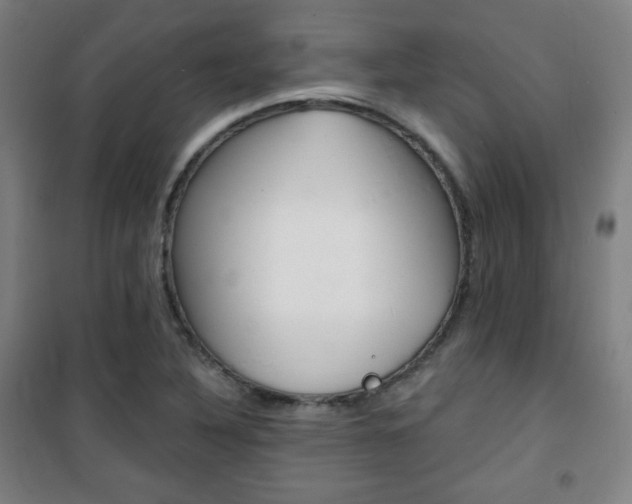 X0000101701316200807101336