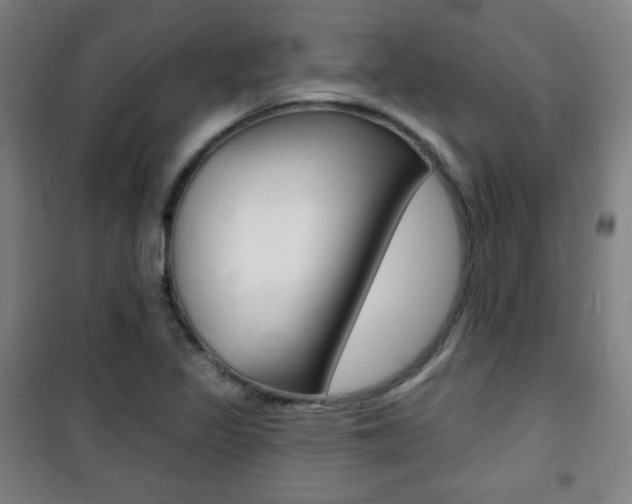 X0000101701317200807101336