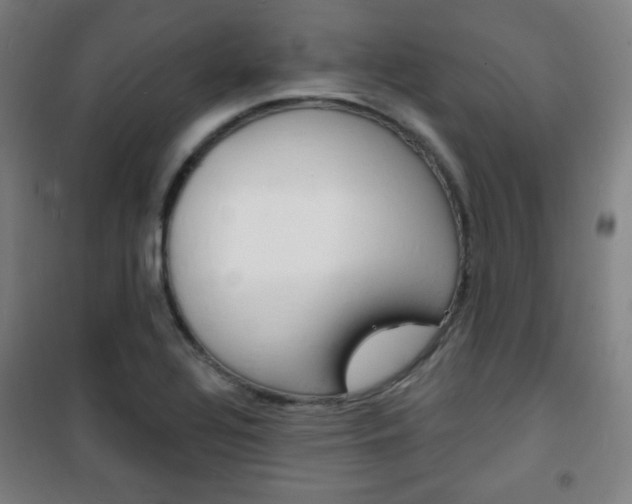 X0000101701320200807101337