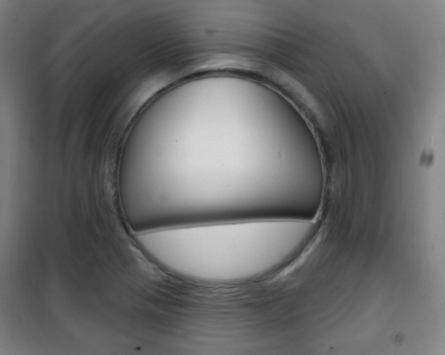 X0000101701321200807101337