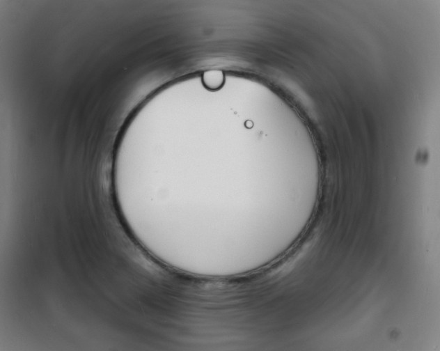 X0000101701322200807101337