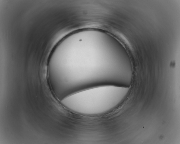 X0000101701324200807101337