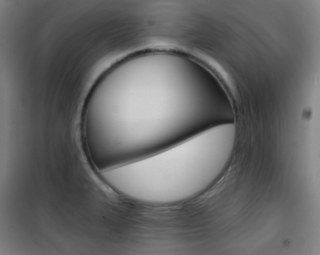X0000101701327200807101337