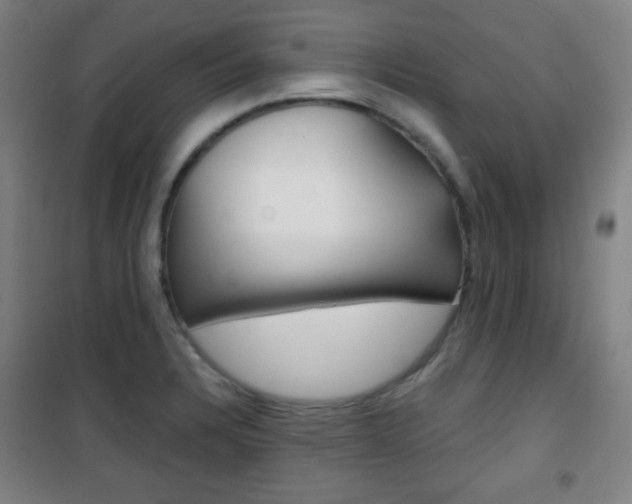 X0000101701328200807101337