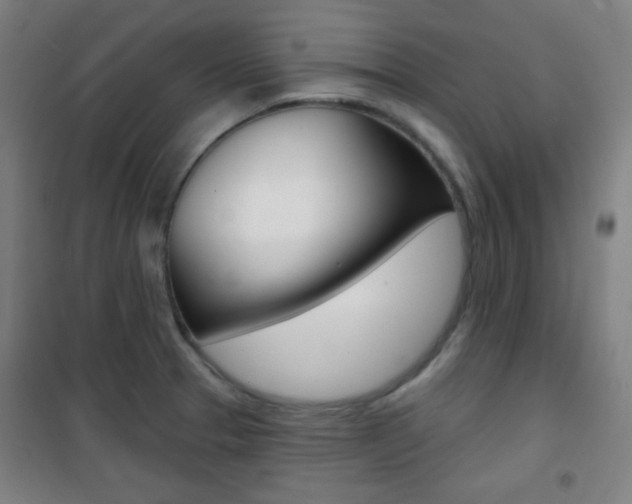 X0000101701329200807101337