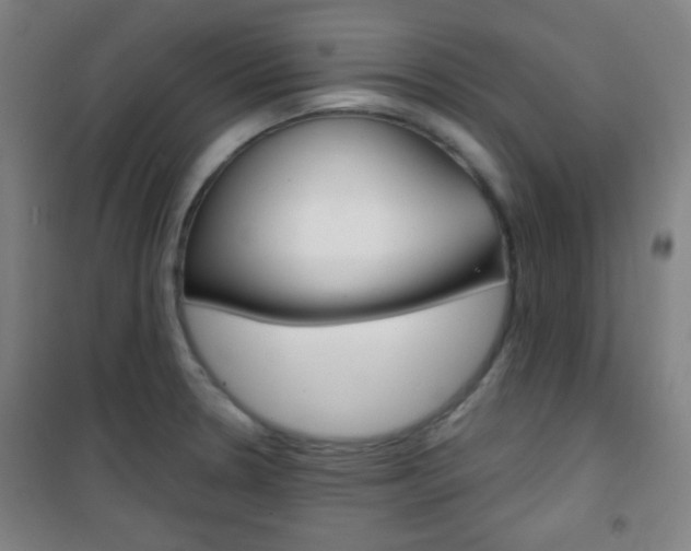 X0000101701330200807101337