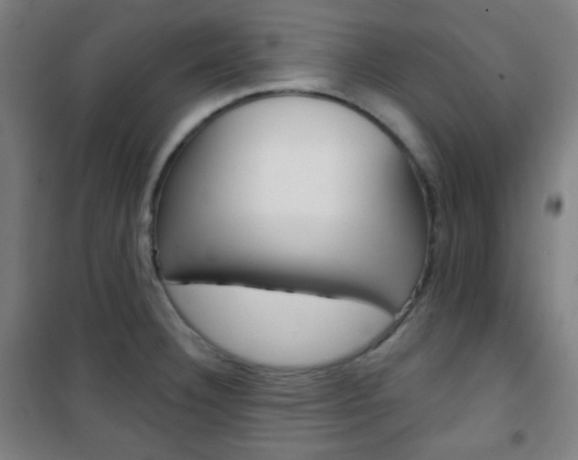 X0000101701332200807101337
