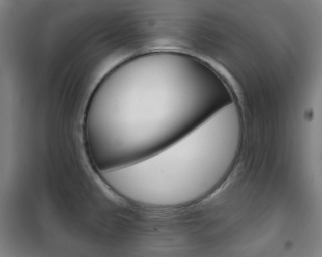 X0000101701333200807101337