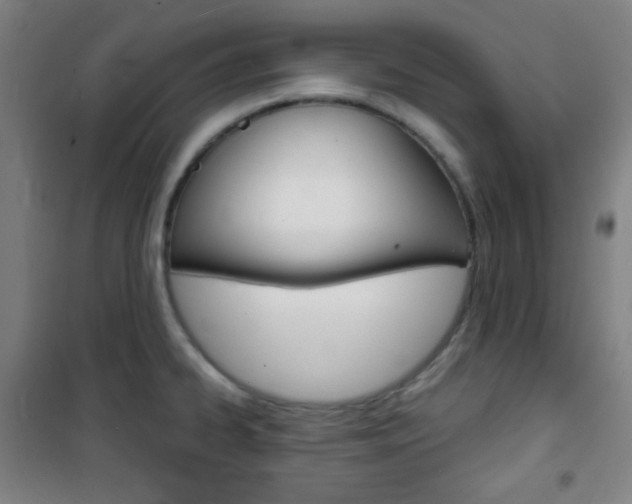 X0000101701334200807101337