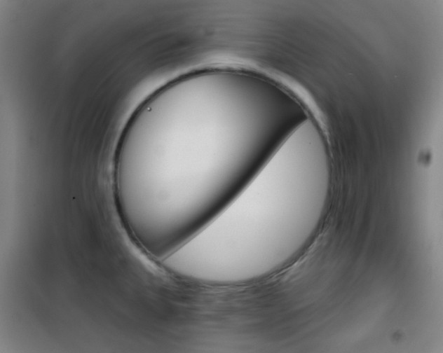 X0000101701335200807101337