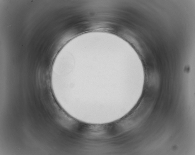 X0000101701338200807101337