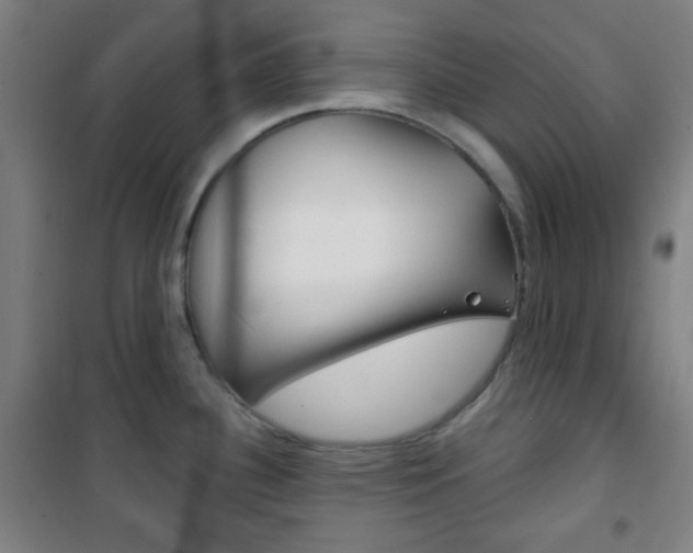 X0000101701340200807101337