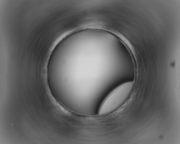 X0000101701341200807101337