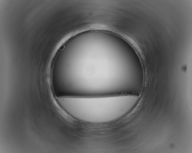 X0000101701342200807101337