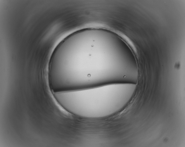 X0000101701343200807101337