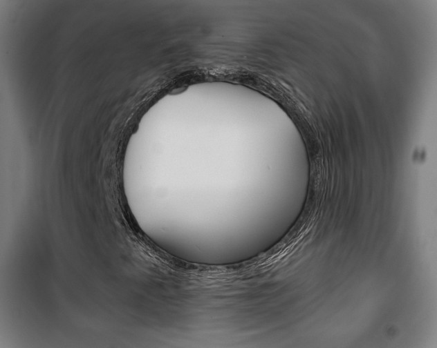 X0000101701345200807101336