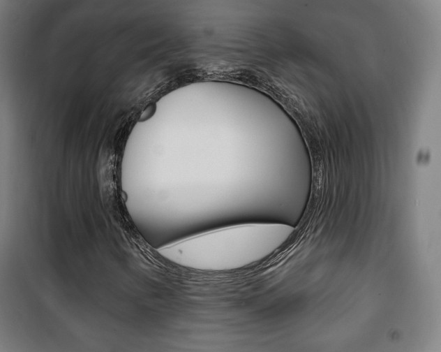 X0000101701346200807101336