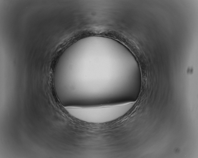 X0000101701349200807101336