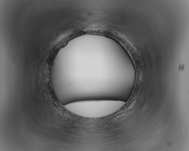 X0000101701350200807101336