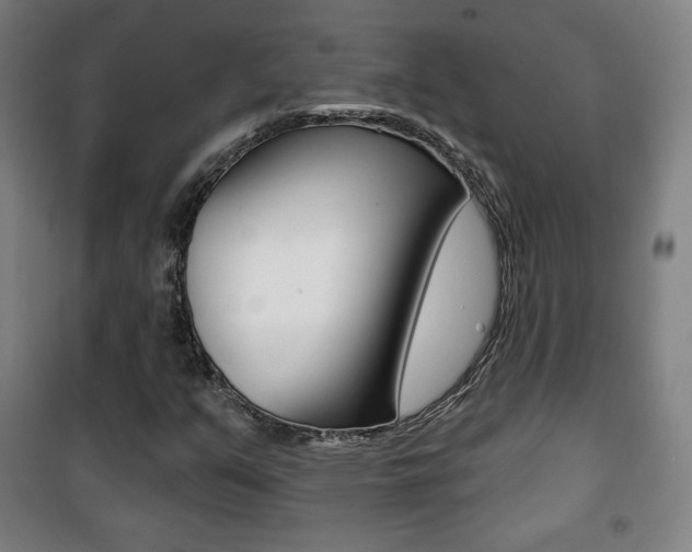X0000101701351200807101336