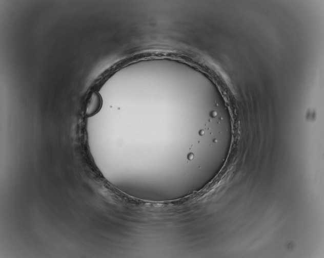 X0000101701352200807101336