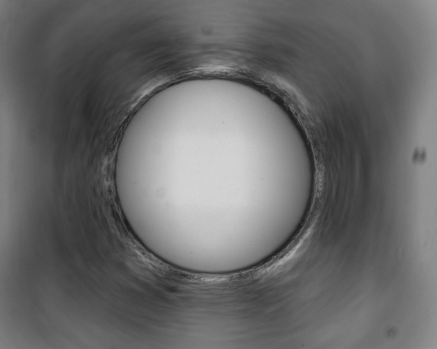 X0000101701353200807101336