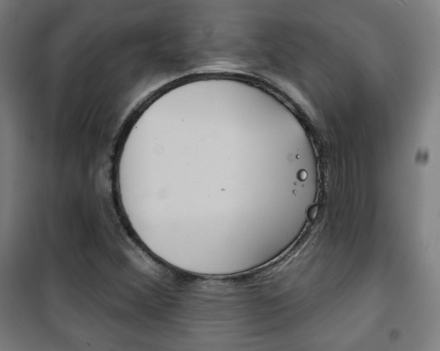 X0000101701356200807101336