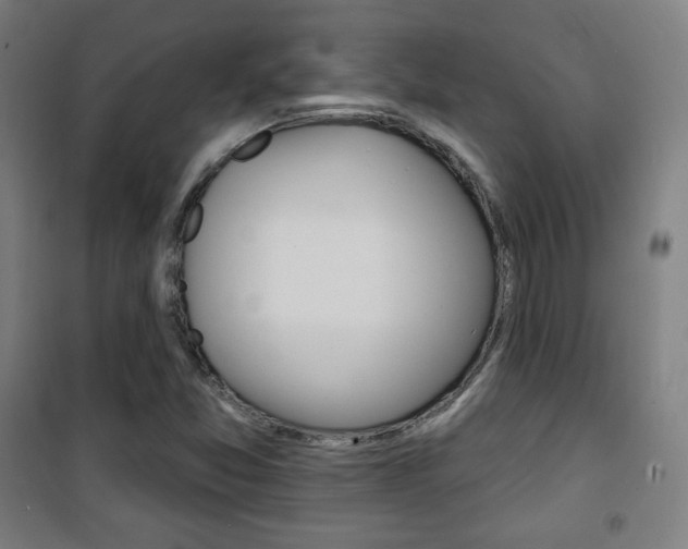 X0000101701357200807101336