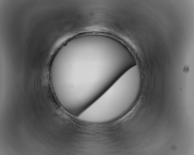 X0000101701358200807101336