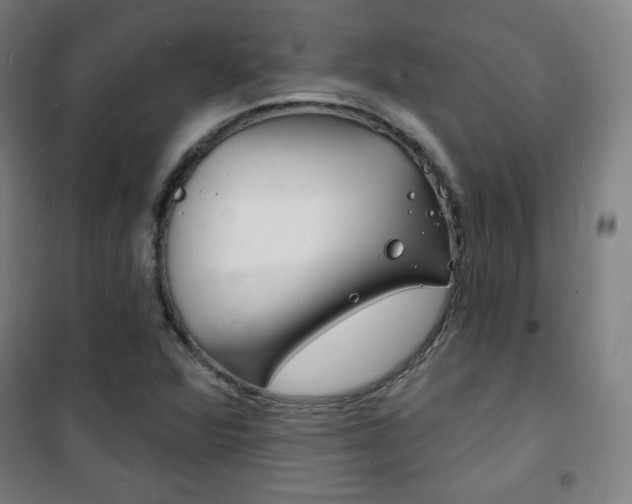 X0000101701360200807101336