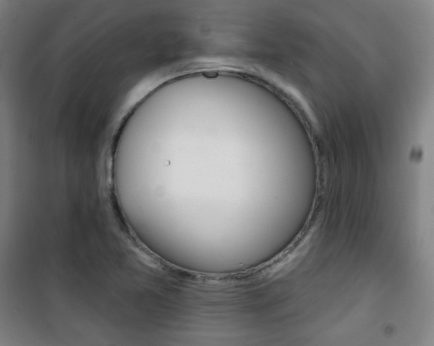 X0000101701365200807101336