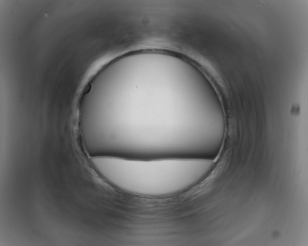 X0000101701366200807101336