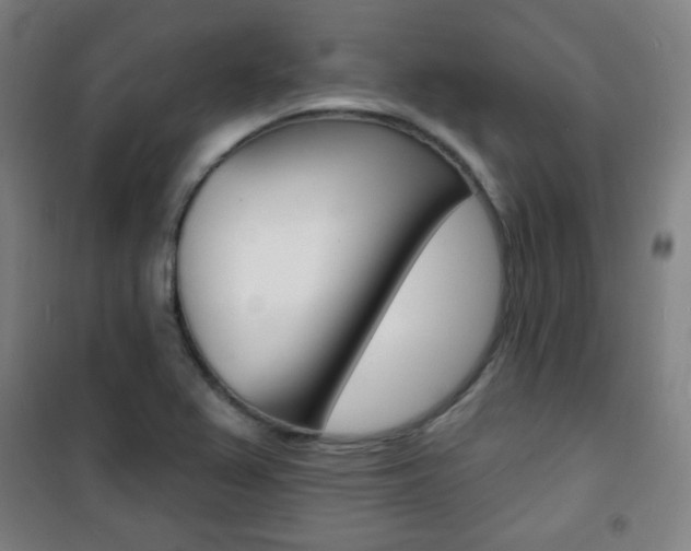 X0000101701367200807101336