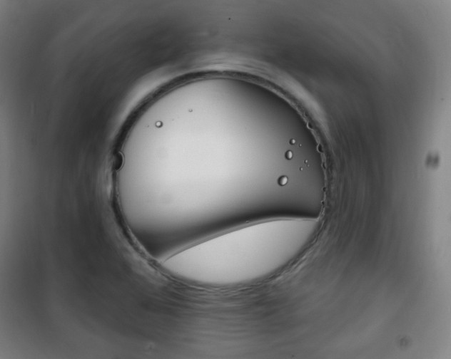 X0000101701368200807101336