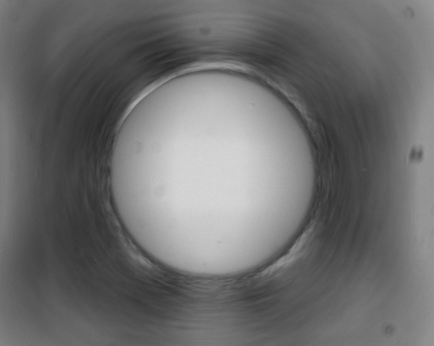 X0000101701369200807101336
