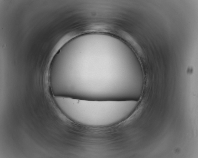 X0000101701370200807101336