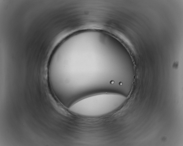 X0000101701372200807101336