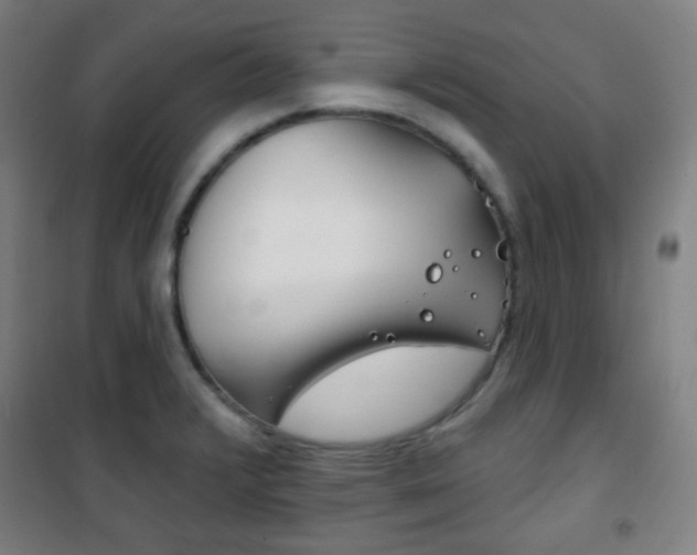 X0000101701376200807101336