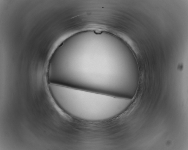 X0000101701379200807101336
