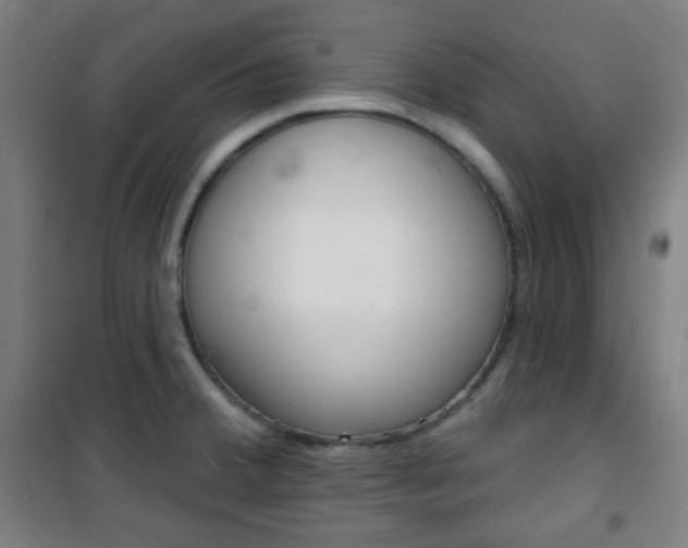 X0000101701380200807101336