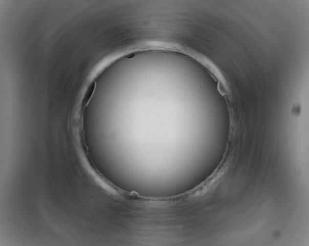 X0000101701381200807101336