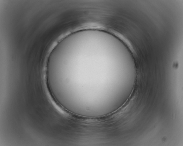 X0000101701383200807101336