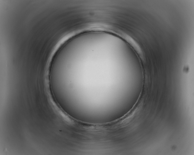 X0000101701384200807101336