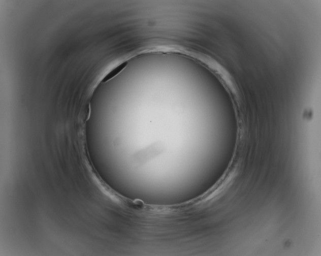 X0000101701385200807101336